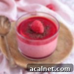 Luscious Raspberry Mousse 8 Close up on a Raspberry Mousse Cup over a wooden plate