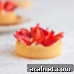 One Strawberry Tartlet over a grey surface, ready to be enjoyed.