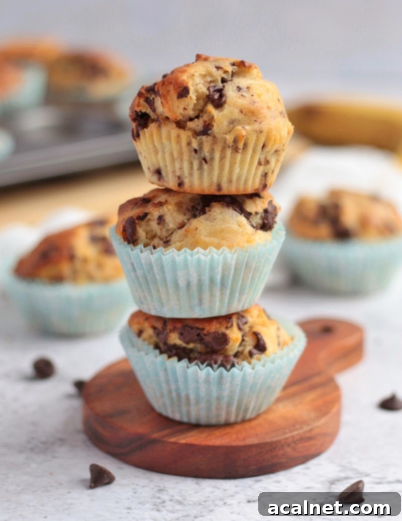 A stack of three perfectly baked Chocolate Chip Banana Muffins, showing their fluffy texture and delicious golden-brown tops.