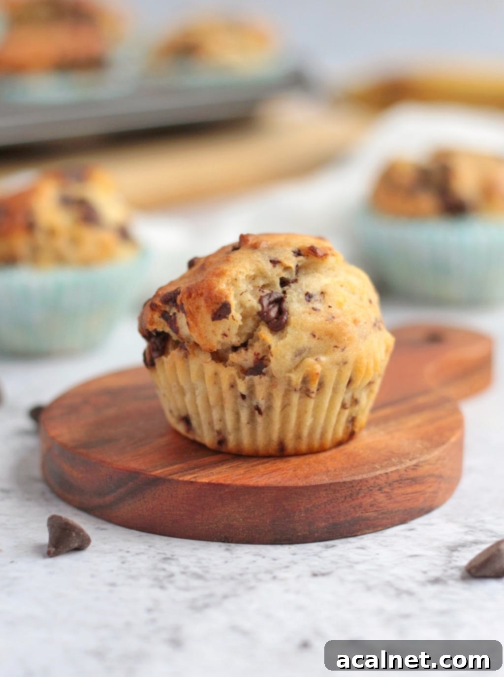 A single Chocolate Chip Banana Muffin, removed from its wrapper, rests on a small wooden board, revealing its soft, chocolate-studded interior.