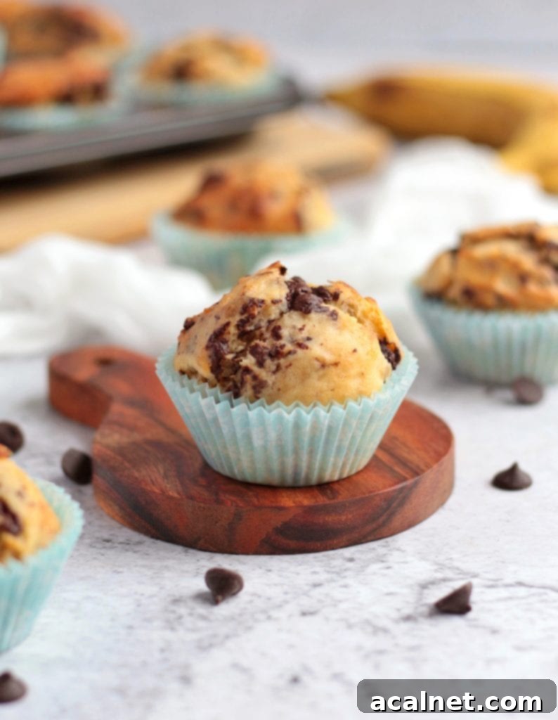 Close-up of a single Banana Chocolate Muffin on a wooden board, showcasing its rich texture and melted chocolate chips within.