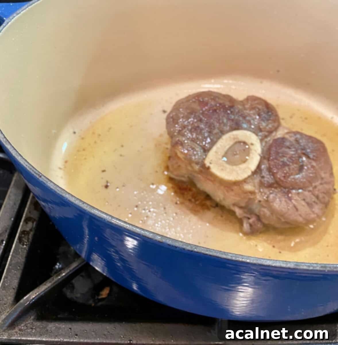 Beef shank browning in a pot with olive oil on a stove