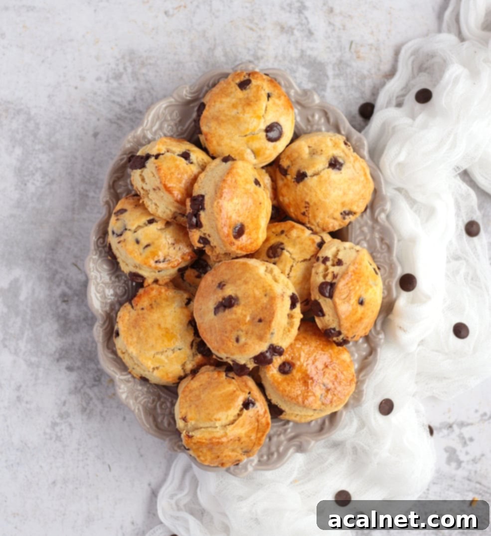 An overhead view of a stack of golden brown chocolate chip scones with a light dusting of icing sugar.