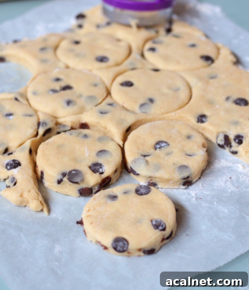 Hands using a round cookie cutter to cut unbaked chocolate chip scone dough on a floured surface, ready for baking.