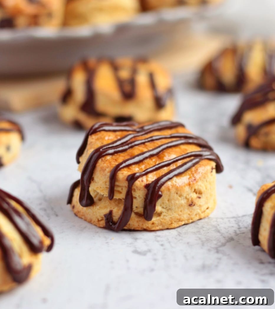 Close-up of a single chocolate chip scone with a generous drizzle of dark chocolate ganache, showing its soft interior.