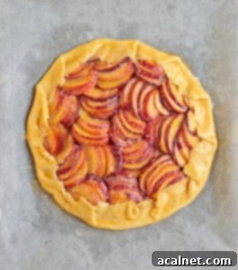 Fold the Edges over the Fruits