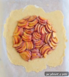 Placing the fruits over the pastry