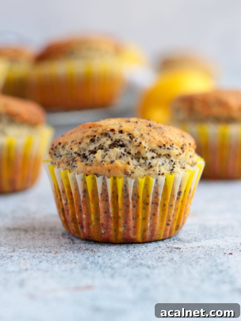 Zesty Lemon Poppy Seed Muffins Tutorial 5 Close up on one Lemon Muffin.