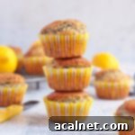 Zesty Lemon Poppy Seed Muffins Tutorial 7 Stack of 3 Lemon and Poppy Seed Muffins