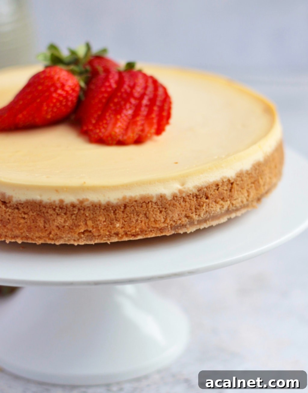 Close up on the ricotta cream and biscuit base