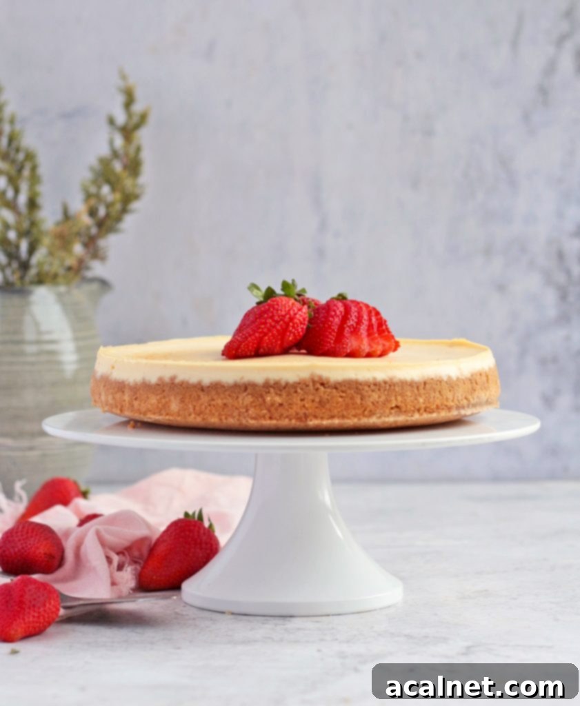 Lemon Ricotta Cheesecake on a white Cake Stand
