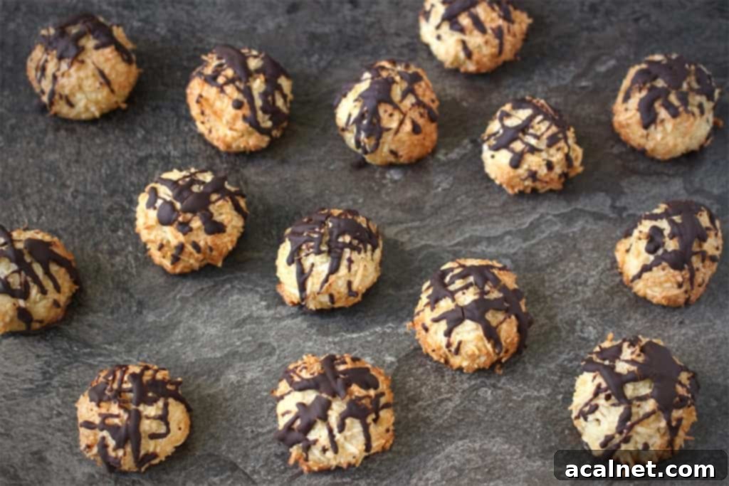 Decadent Chocolate Coconut Macaroons 3 Macaroons on a dark grey surface.