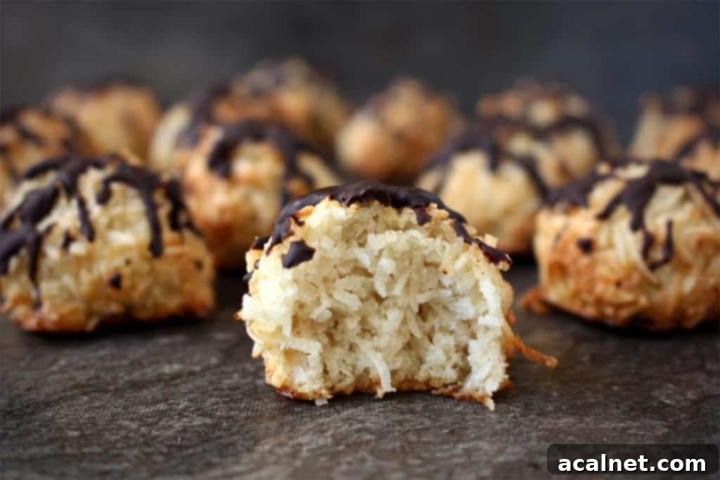 Decadent Chocolate Coconut Macaroons 4 Crumb shot of a macaroon with a bite taken off.