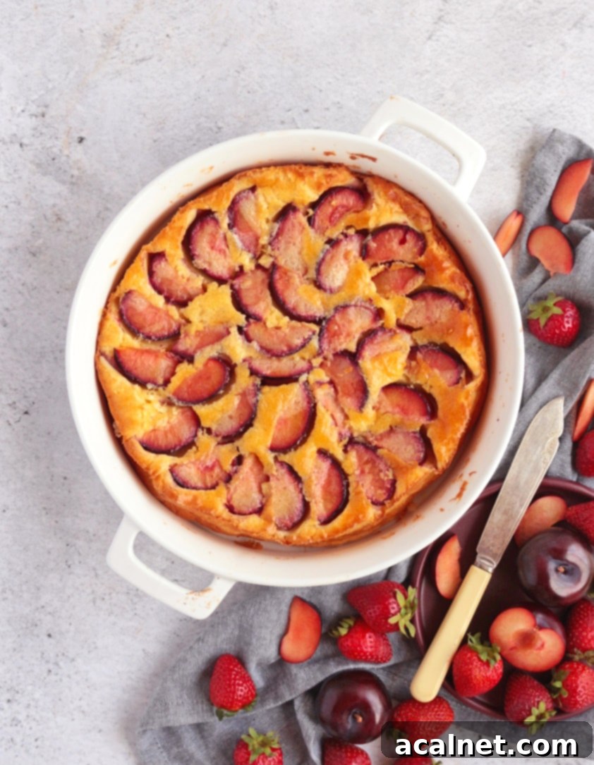 Simple Plum Clafoutis 5 Flatlay photo of a plum clafoutis in a white dish with powdered sugar, surrounded by fresh plums and berries.