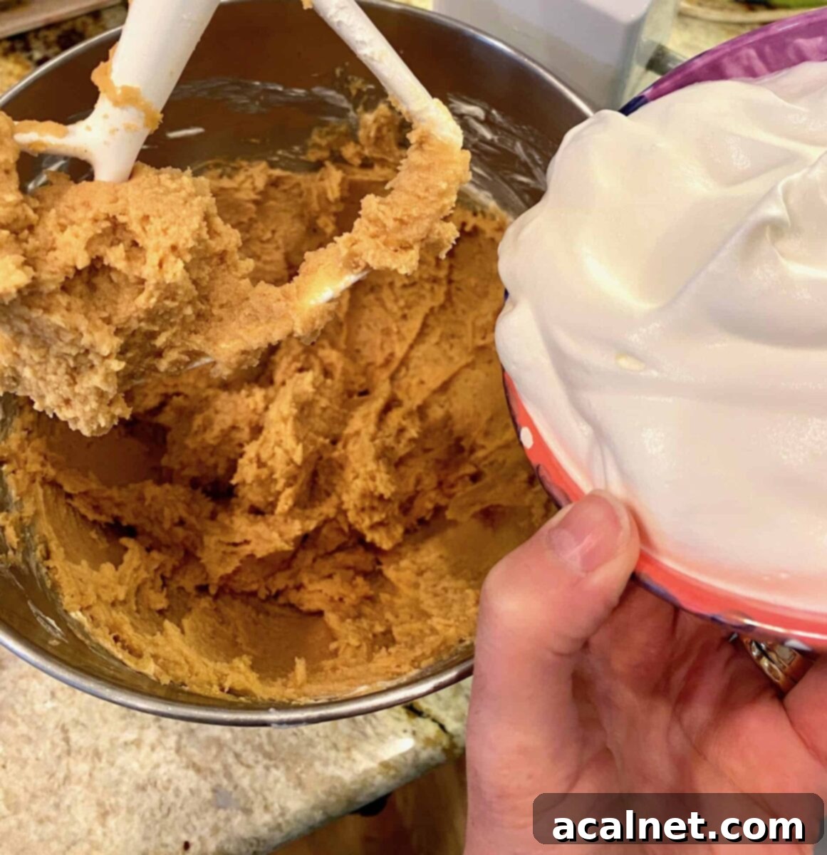 Adding whipped cream to the peanut butter and cream cheese in a mixing bowl
