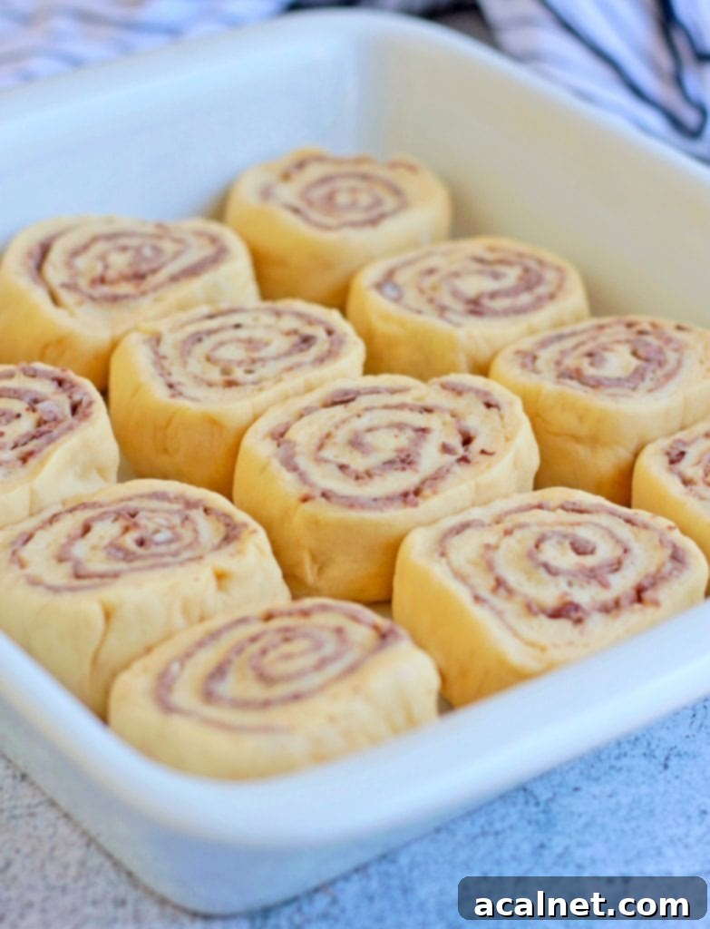 Baked Red Bean Delights 8 Making the Bread Rolls: second proving before the oven