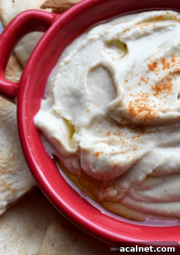 Healthy White Bean Dip with fresh herbs and olive oil, served with pita bread.