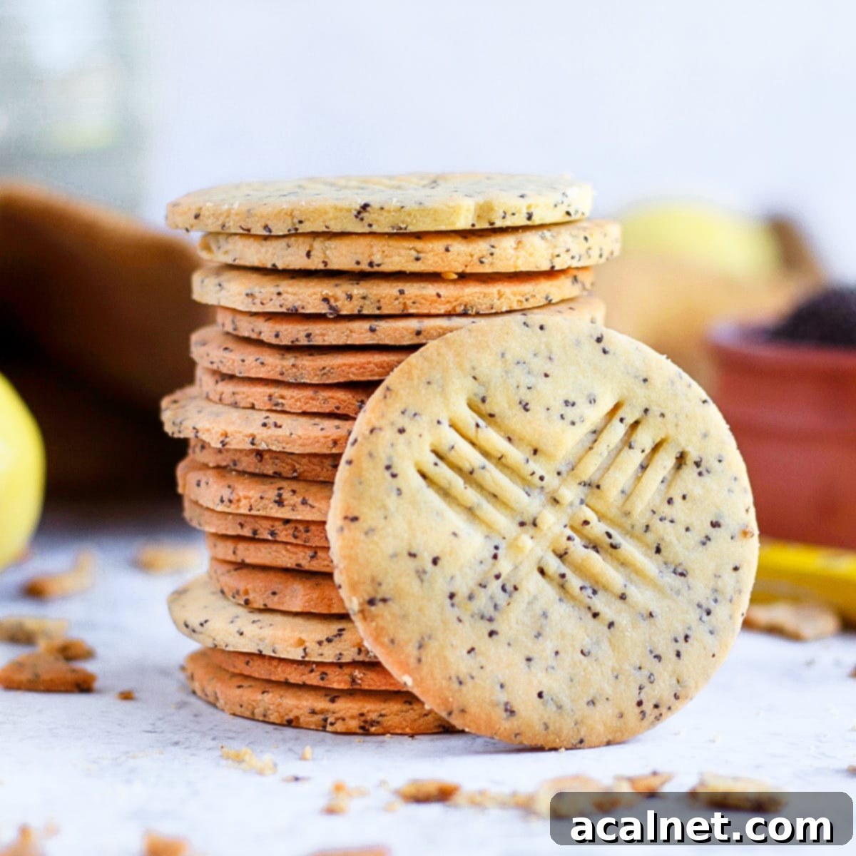 One cookie leaning on a stack of shortbread
