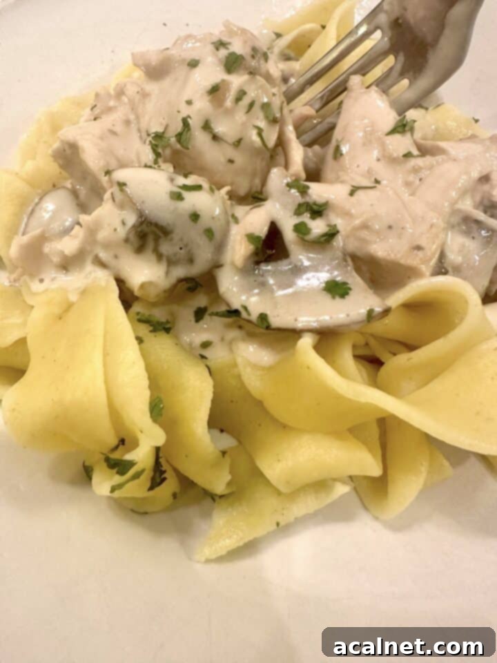 Creamy Chicken and Mushroom Stroganoff 2 A plate of pasta with mushroom and chicken stroganoff on top, garnished with fresh parsley.