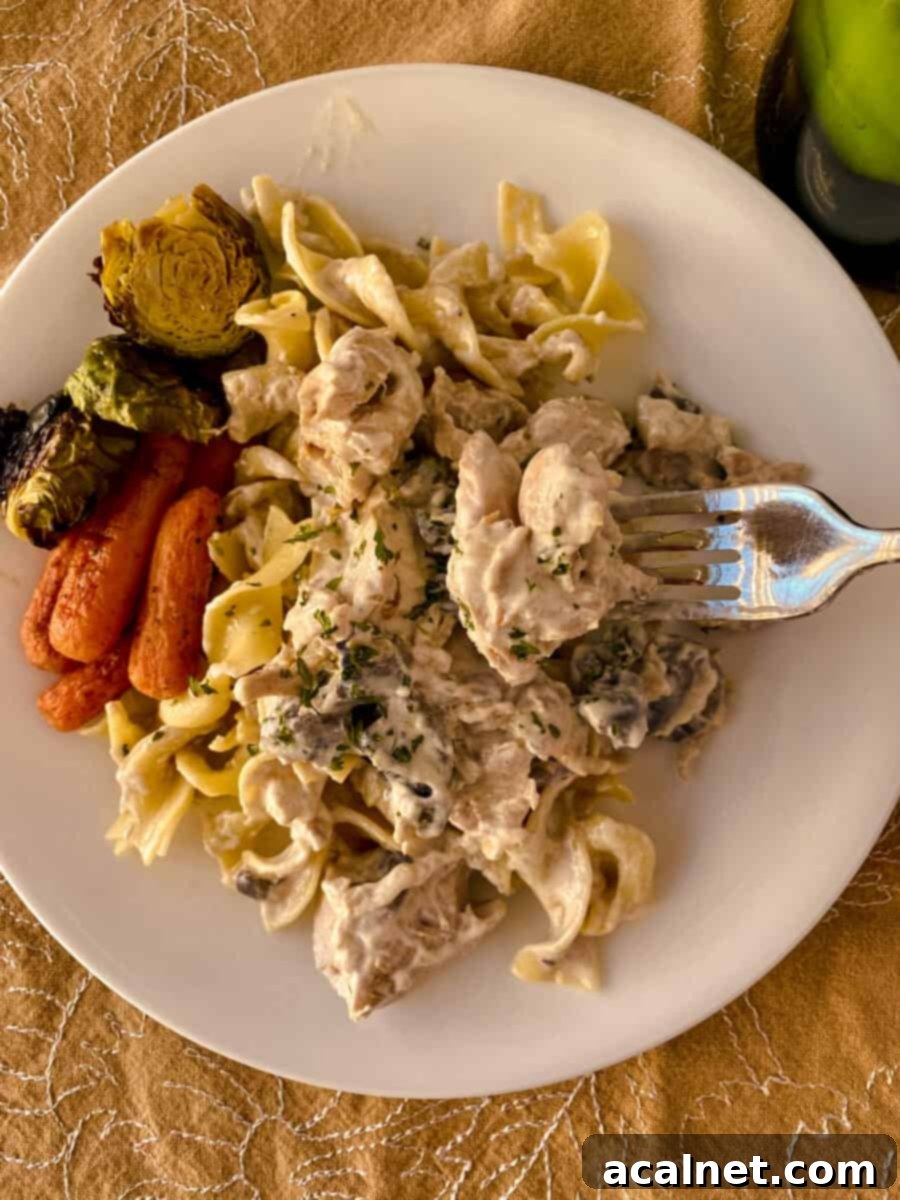 Creamy Chicken and Mushroom Stroganoff 11 A beautifully presented serving of chicken stroganoff on a white plate, on a patterned tablecloth with a fork, ready to eat.
