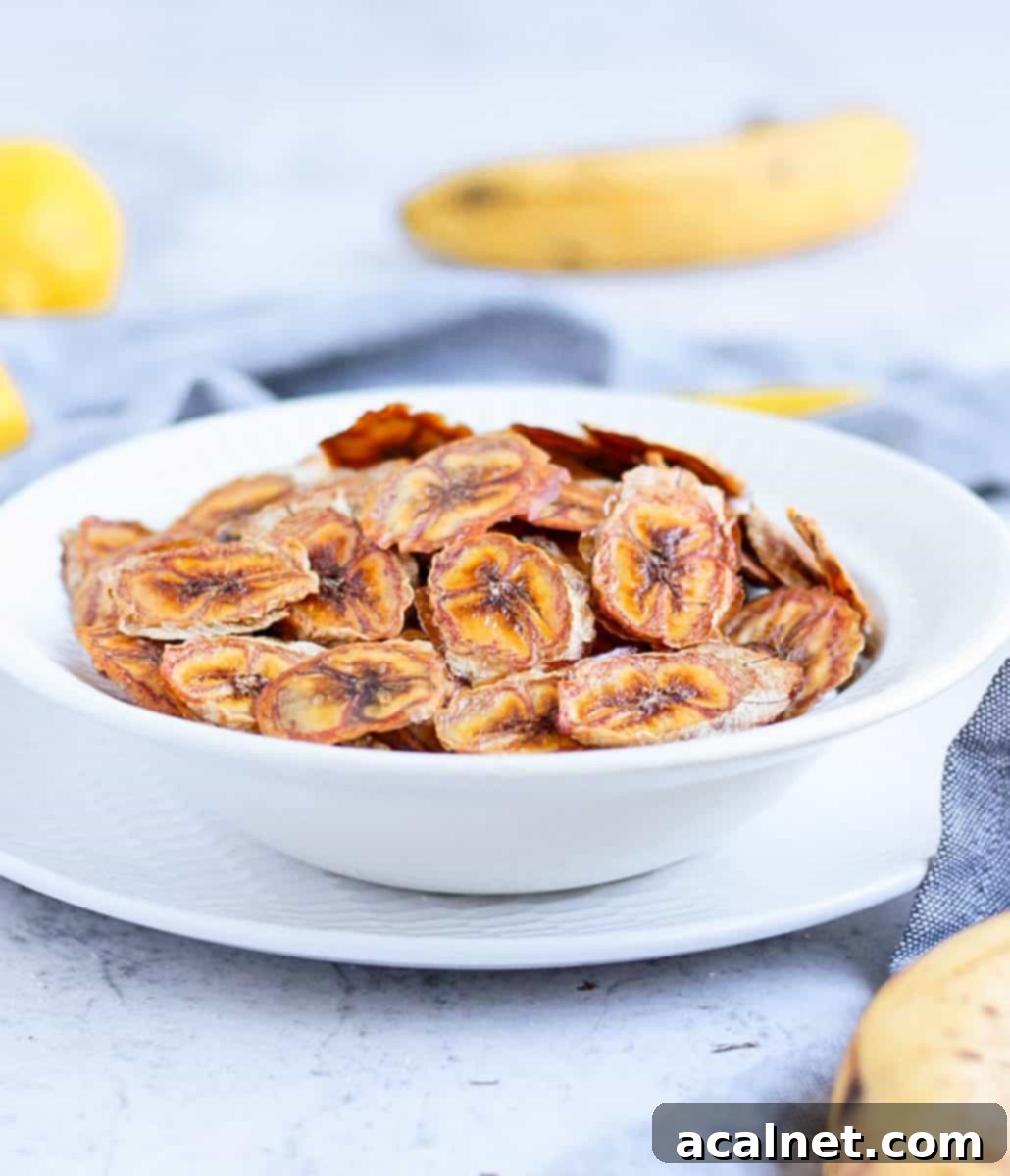 Crispy Oven-Baked Banana Chips 6 A white bowl filled with golden, crispy homemade banana chips.
