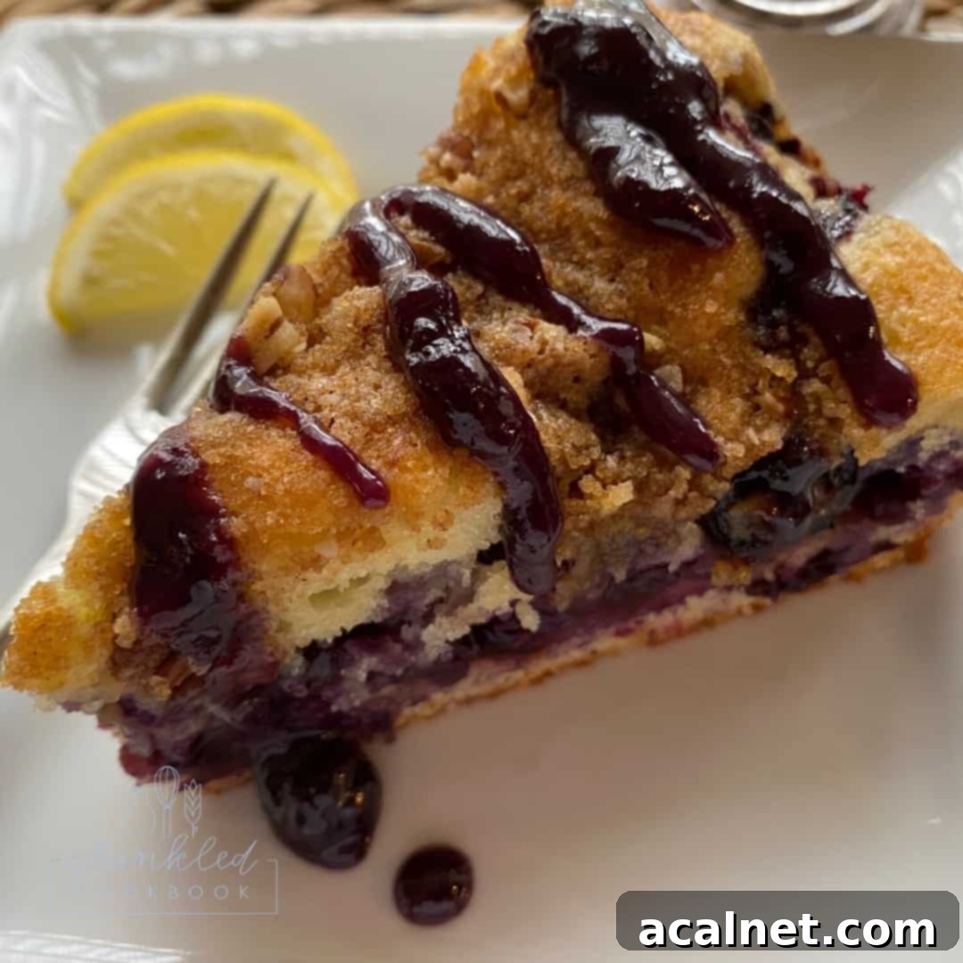 Zesty Lemon Blueberry Coffee Cake 11 A perfectly plated wedge of blueberry lemon coffee cake, showing its moist interior, blueberry layer, and streusel topping.