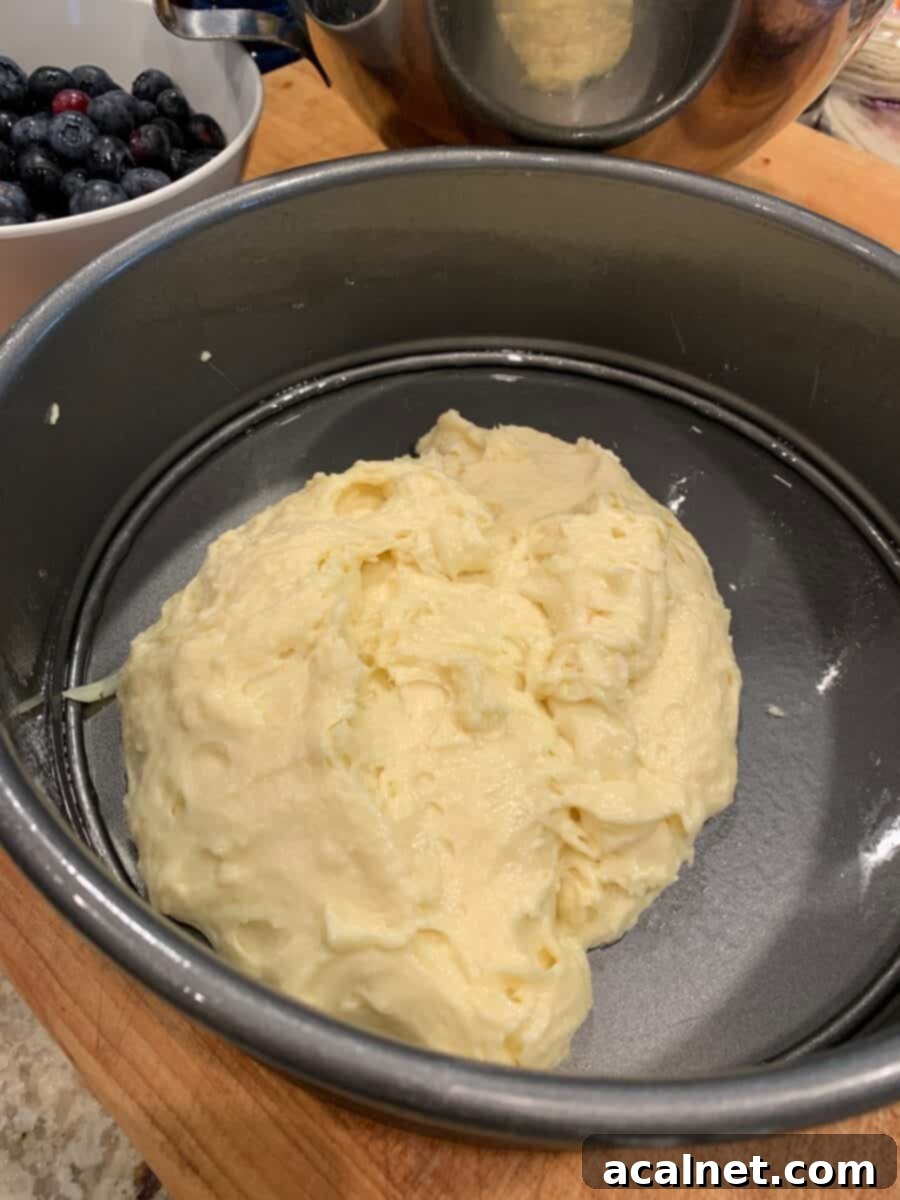 Zesty Lemon Blueberry Coffee Cake 5 Smooth cake batter spread into the bottom of a round springform pan, ready for layering.