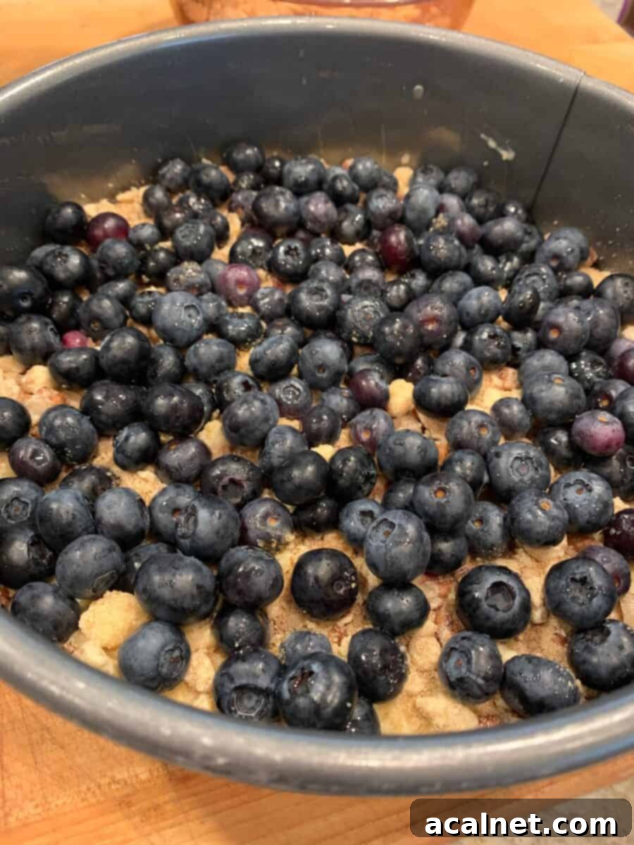 Zesty Lemon Blueberry Coffee Cake 7 Fresh blueberries generously scattered over the streusel and cake batter layers in the baking pan.