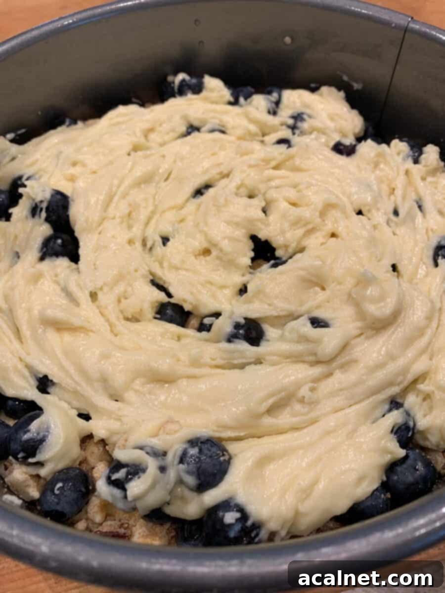 Zesty Lemon Blueberry Coffee Cake 8 The remaining cake batter dolloped over the blueberries and streusel, ready to be smoothed before the final streusel layer.