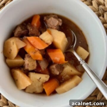 Irish stew in a small bowl with a spoon.