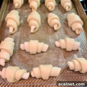Unbaked potato rolls on a baking pan in the oven