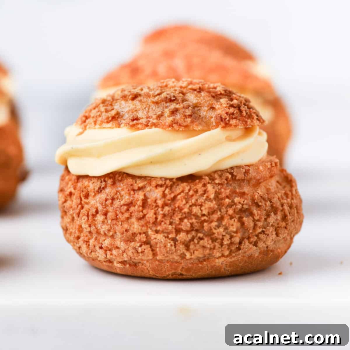 Head on shot of a choux sliced in half and filled with vanilla cream.