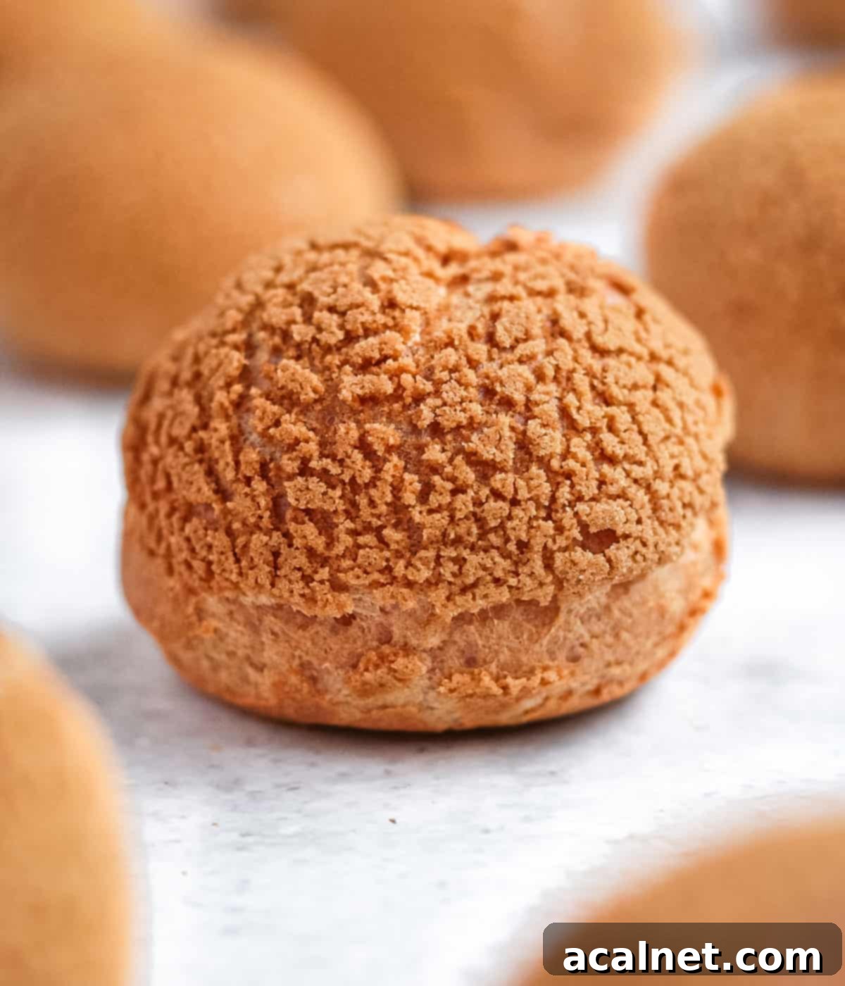 Plain choux, unfilled, over a light grey surface.