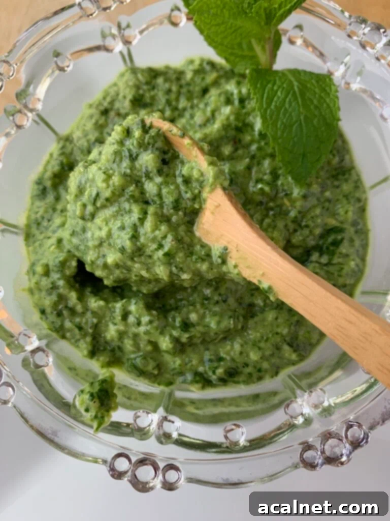 Pesto sauce in spoon over a bowl of pesto