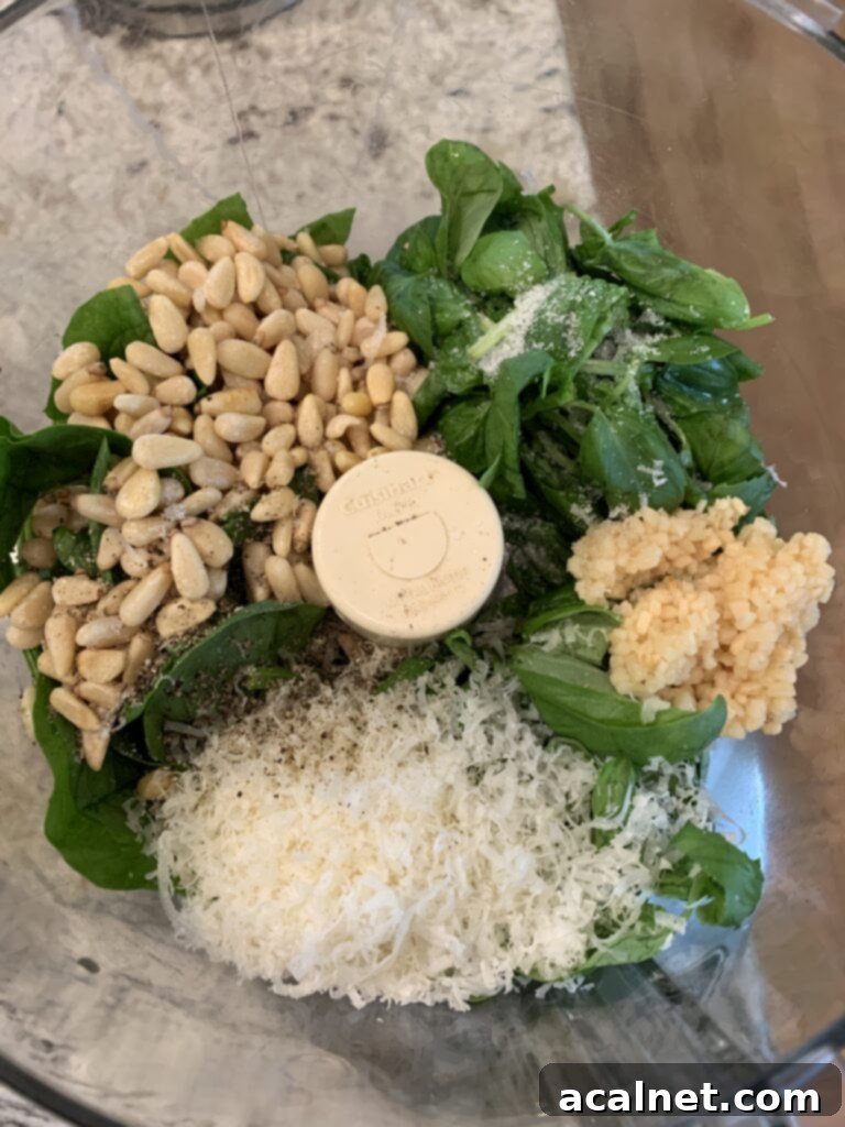 Pesto ingredients before blending 