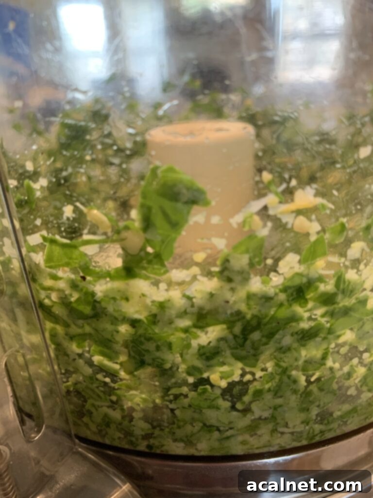 Pesto ingredients after being chopped in food processor 