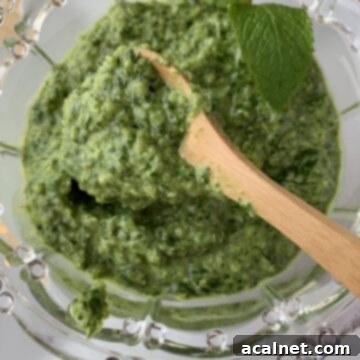Pesto sauce in spoon over a bowl of pesto