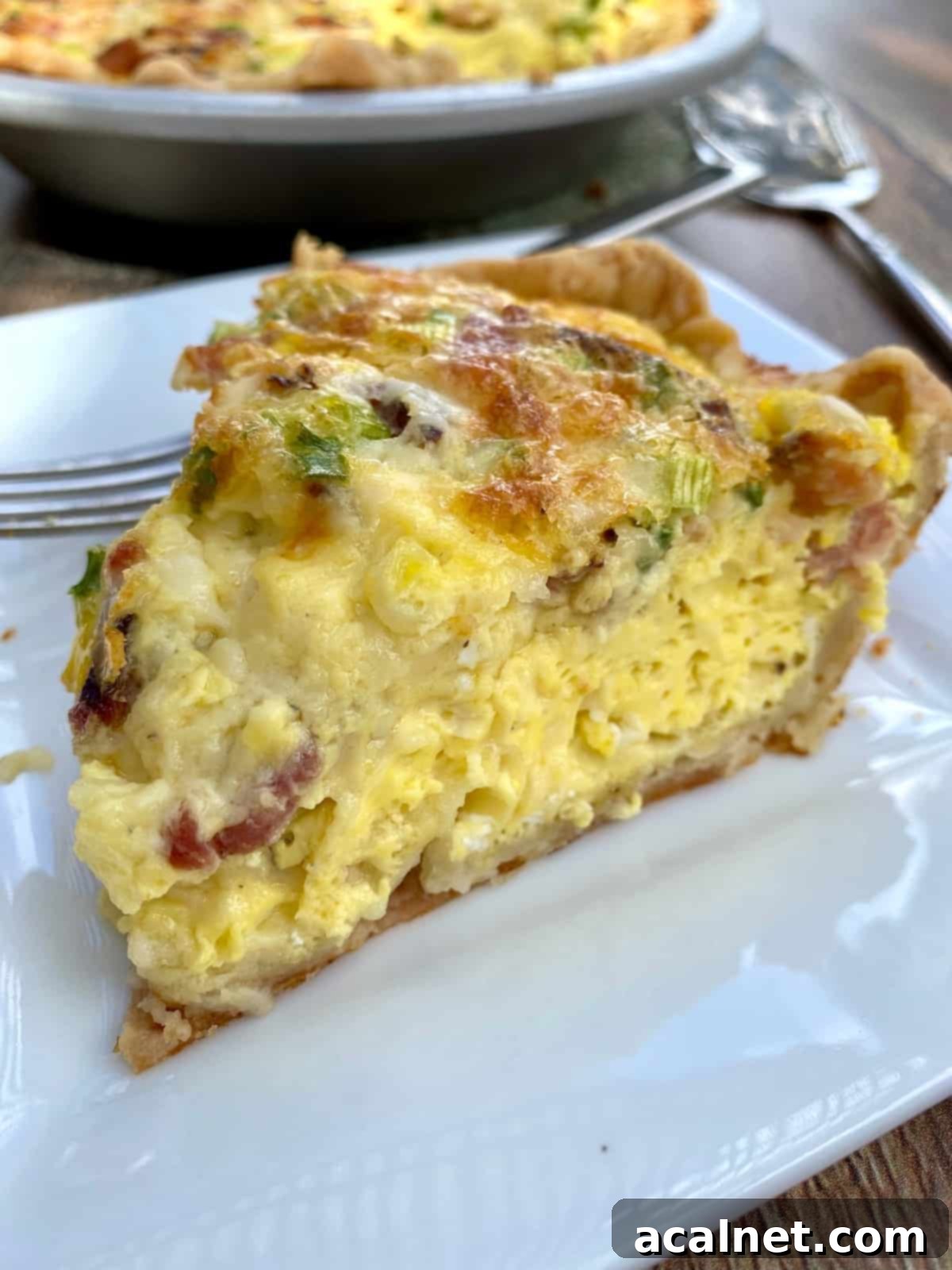 A wedge of quiche on a plate with the quiche dish in the background, showcasing its golden-brown crust and cheesy filling.