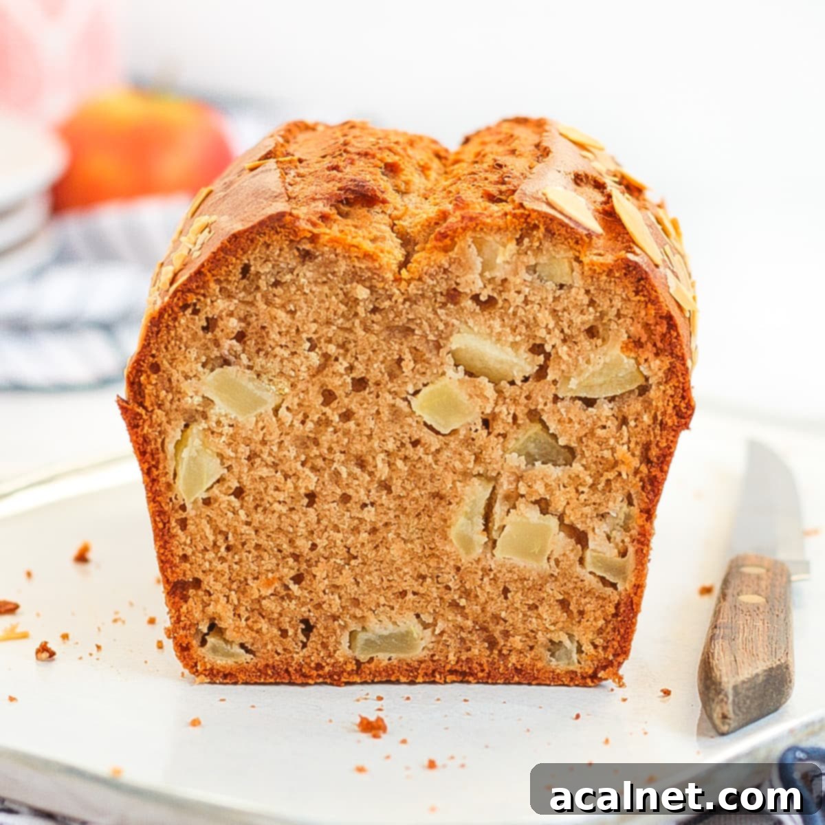 Crumb Shot of the loaf sliced in half, showing moist texture and apple chunks.