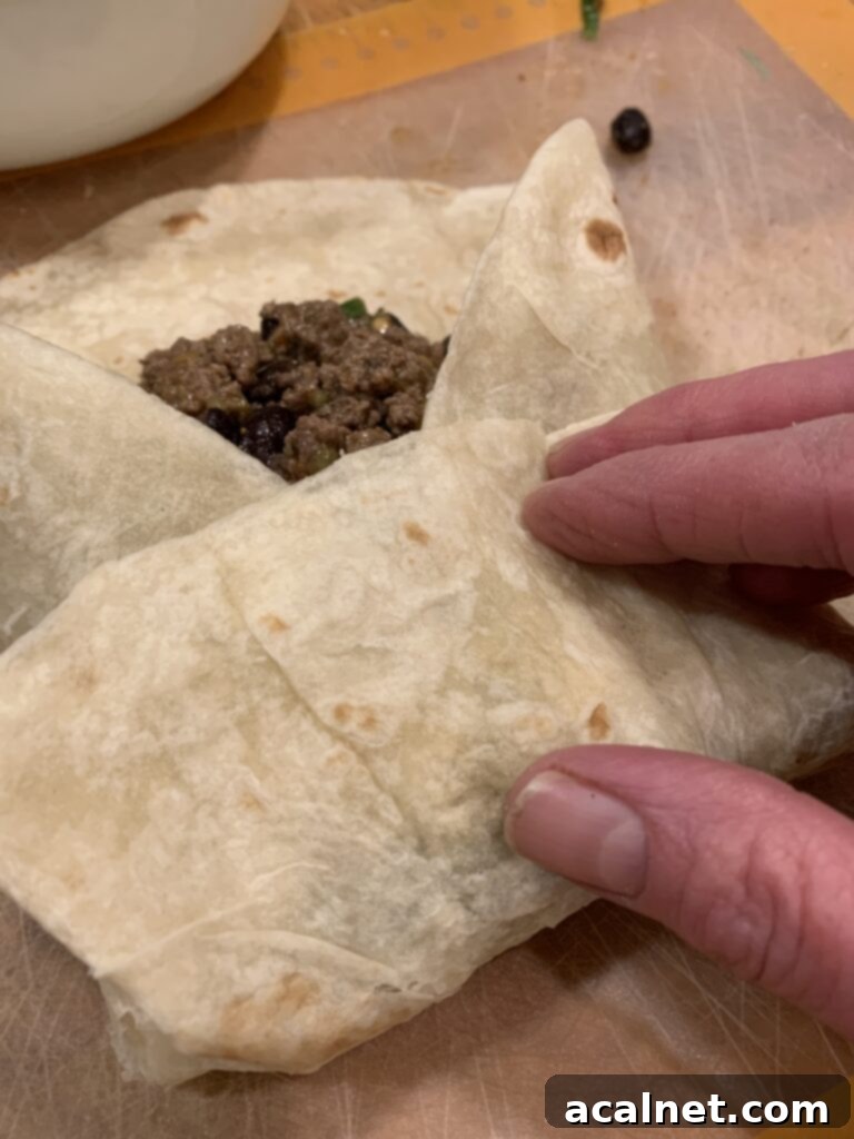 Burrito filing covered by flour tortilla.