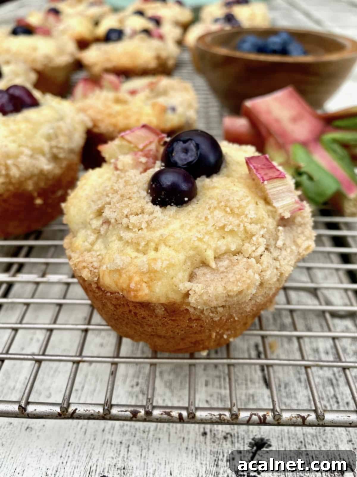 Freshly baked blueberry rhubarb muffins cooling on a wire rack, with a bowl of fresh blueberries nearby, showcasing their golden streusel tops.