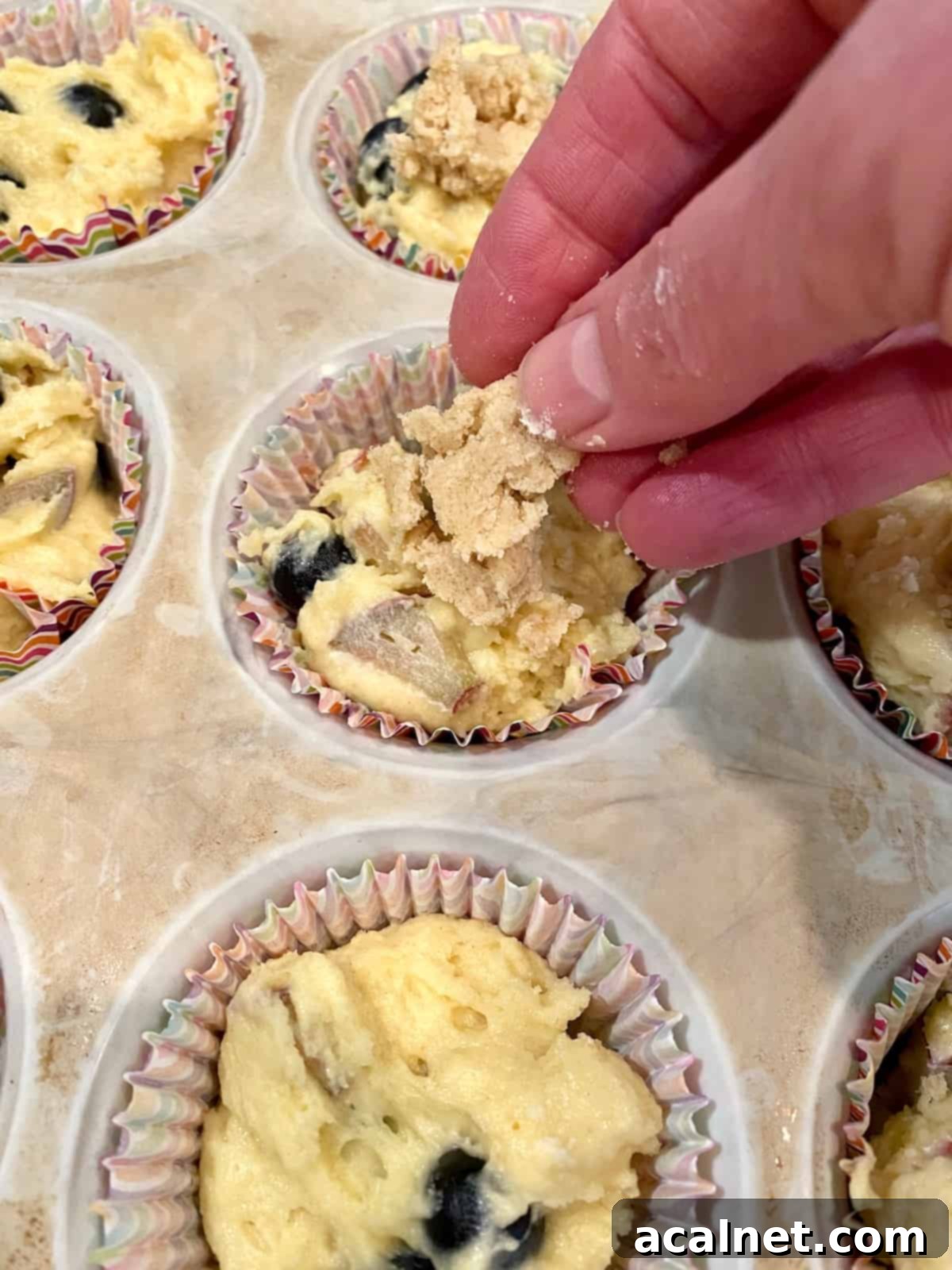 A hand generously sprinkling the sweet, crumbly streusel topping mixture over the unbaked blueberry rhubarb muffins in a pan before baking.