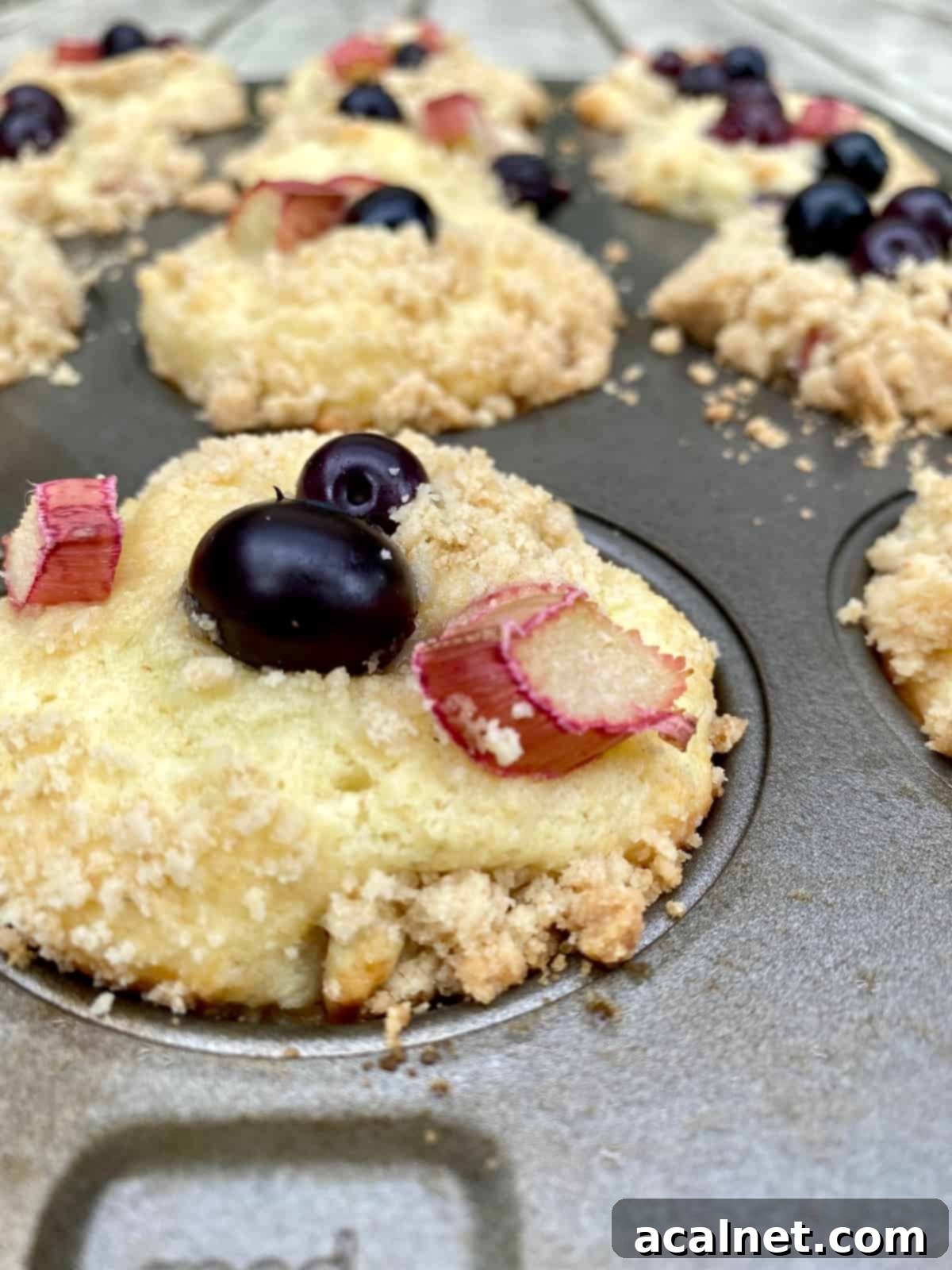 Baked blueberry rhubarb muffins arranged perfectly in a muffin pan, boasting golden-brown streusel tops and beautifully visible blueberries and diced rhubarb on each muffin.