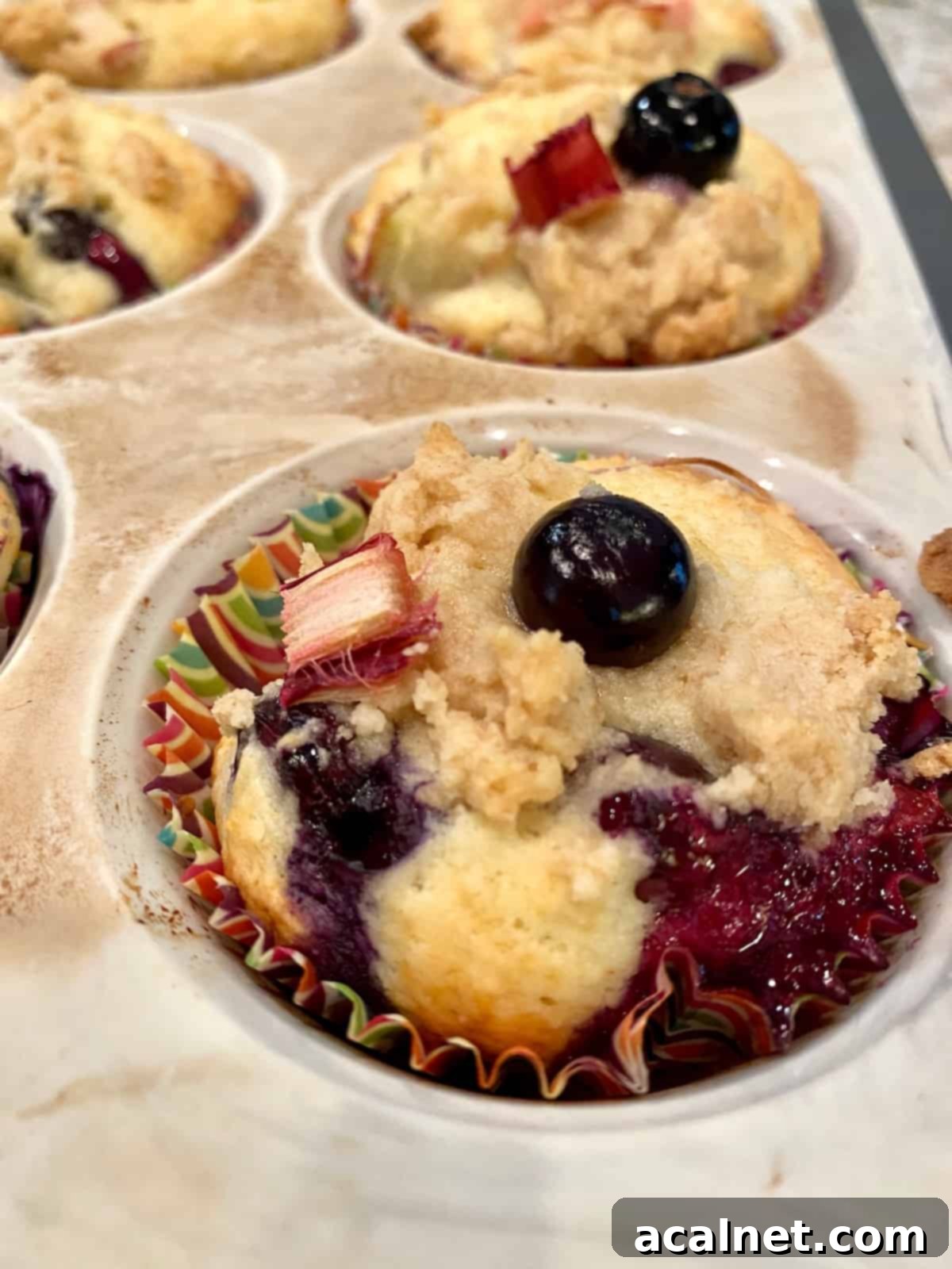 Freshly baked blueberry rhubarb muffins nestled perfectly in a muffin pan, showing their golden streusel tops and ready for enjoyment or storage.