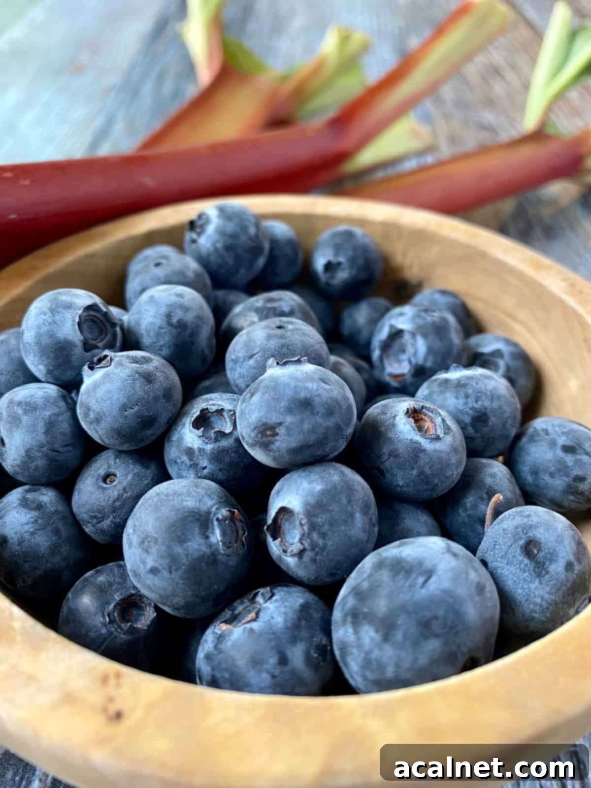 A vibrant bowl of fresh, plump blueberries contrasted beautifully with several long stalks of raw, rosy rhubarb in the background, hinting at their delicious culinary combination.