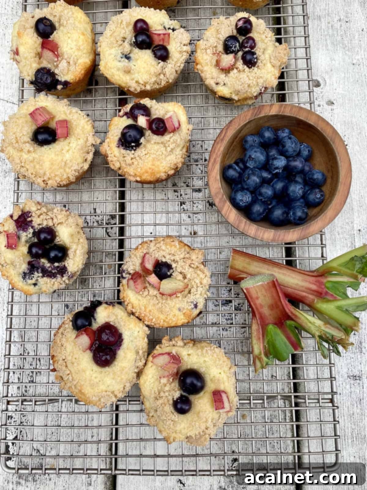 Baked blueberry rhubarb muffins spread out on a wire cooling rack, with a bowl of fresh blueberries and a vibrant stalk of rhubarb artfully arranged on the side, highlighting the main ingredients.
