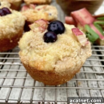 Blueberry rhubarb muffins on a cooling rack with blueberries in a bowl.