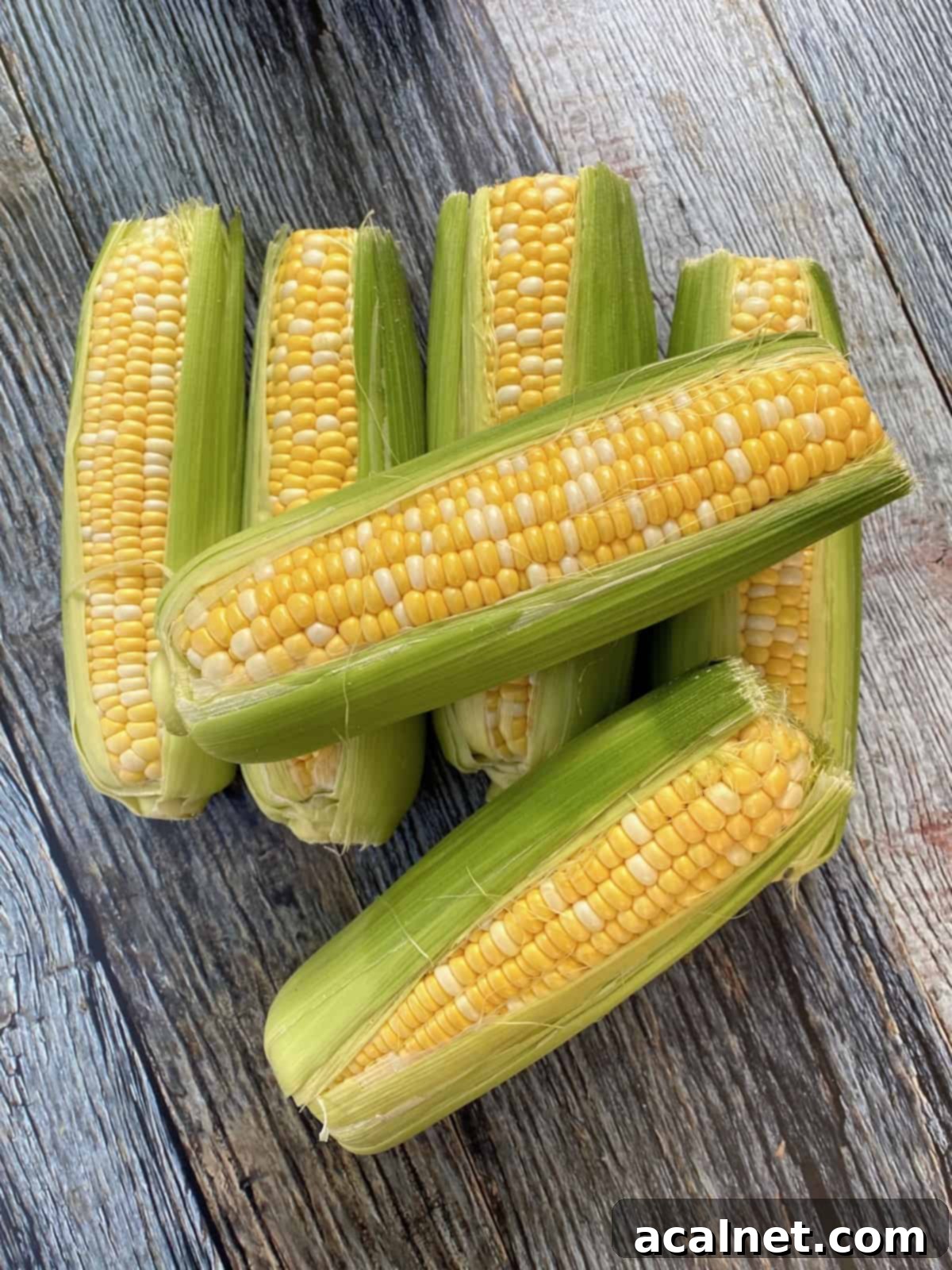 Six ears of corn on the cob. 
