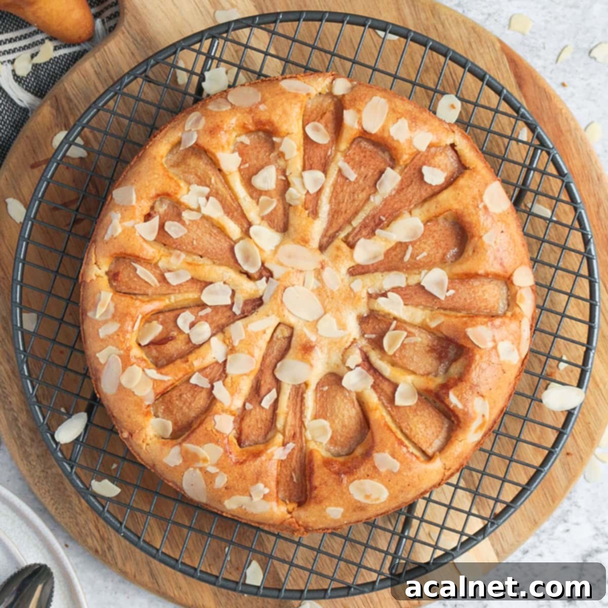 Pear Almond Cake from above on a cooling rack