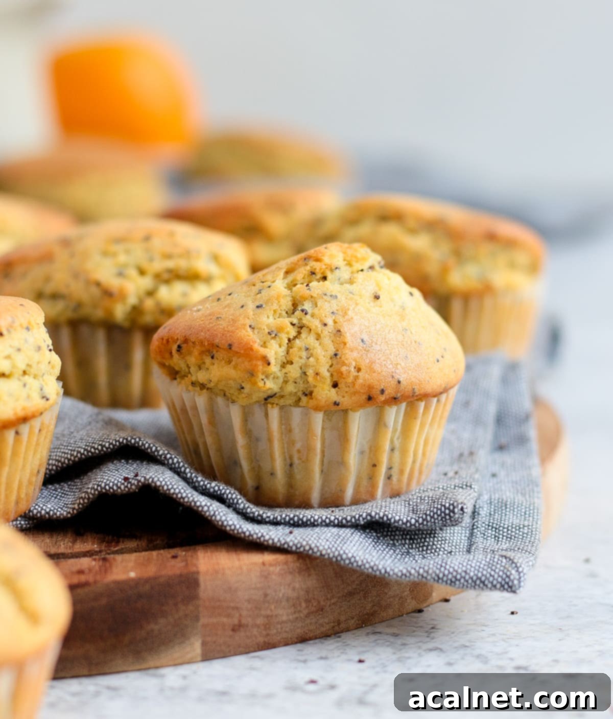 A close-up of a single Orange Poppy Seed Muffin, showing its inviting golden-brown top and speckled interior.